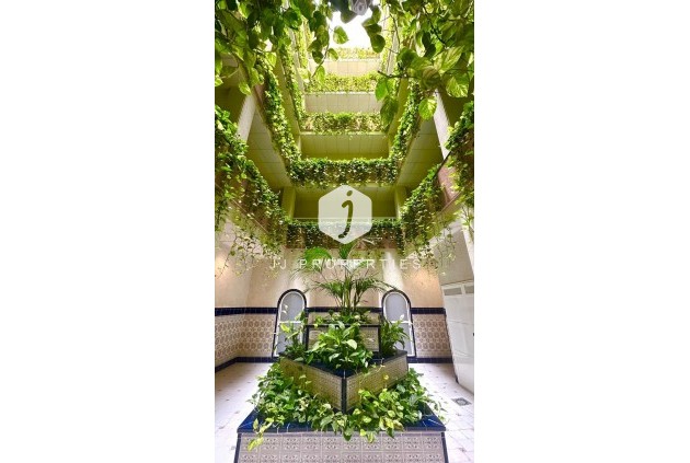 Daszek - Z drugiej ręki -
            Torrevieja - C-32236