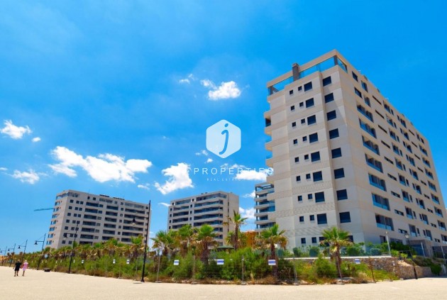 Daszek - Z drugiej ręki - Torrevieja -
                Punta prima