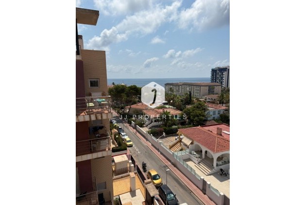 Daszek - Z drugiej ręki - Torrevieja -
                Punta prima