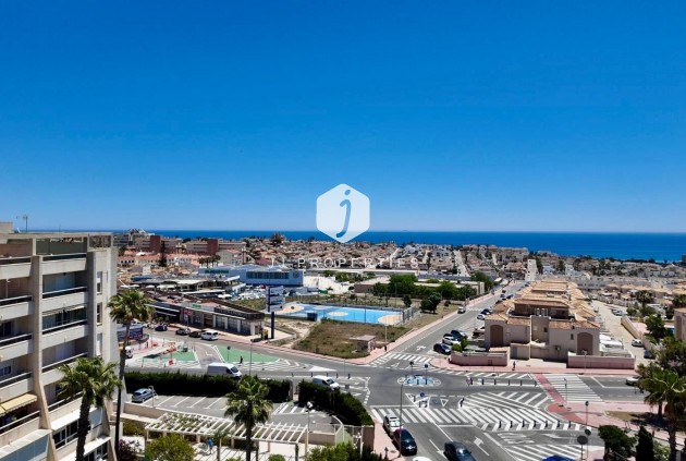 Daszek - Z drugiej ręki - Torrevieja -
                Torreblanca