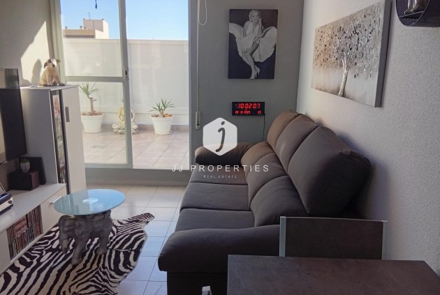 Daszek - Z drugiej ręki - Torrevieja -
                Torrevieja