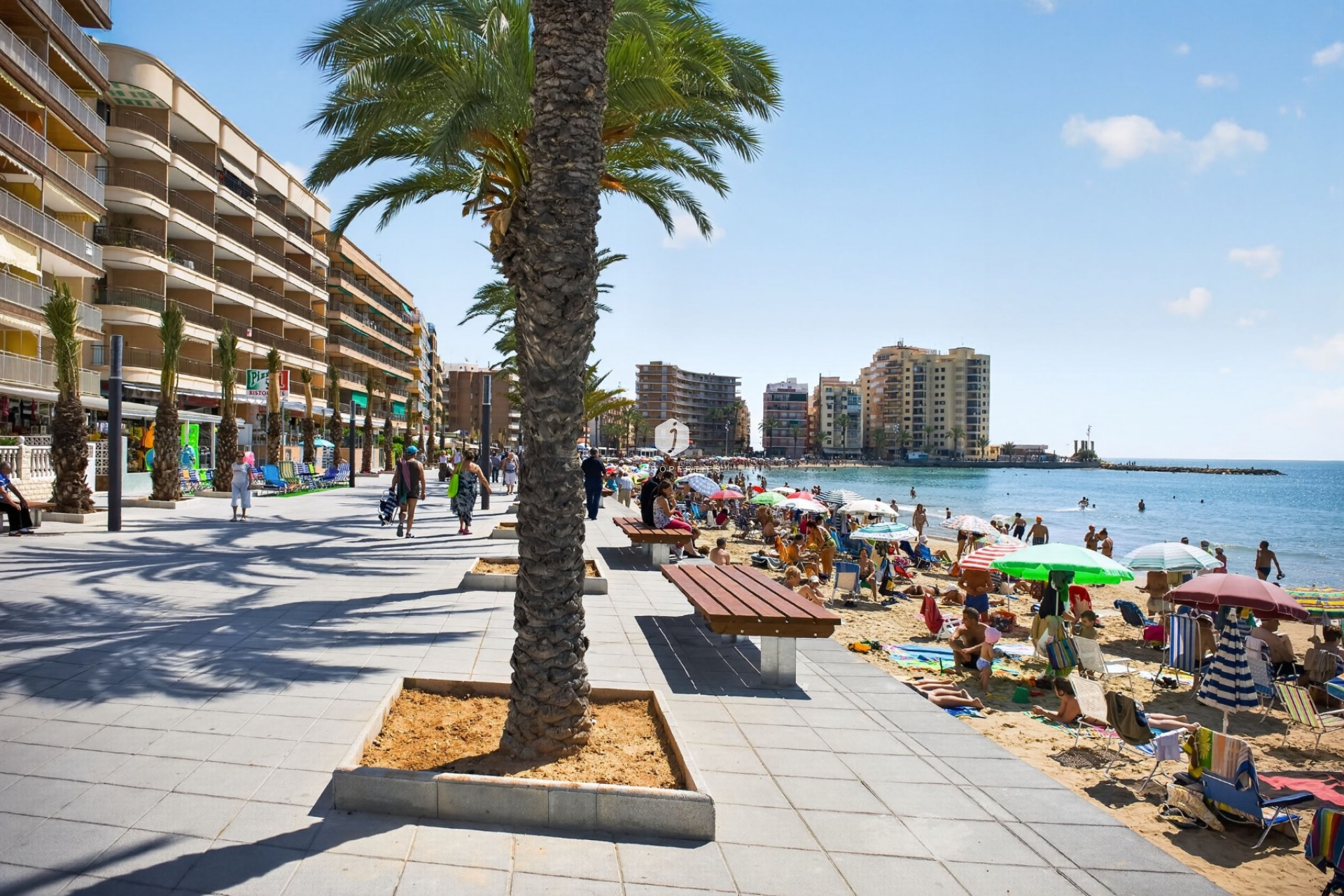 Location à long terme - Appartement -
Torrevieja - Playa del cura