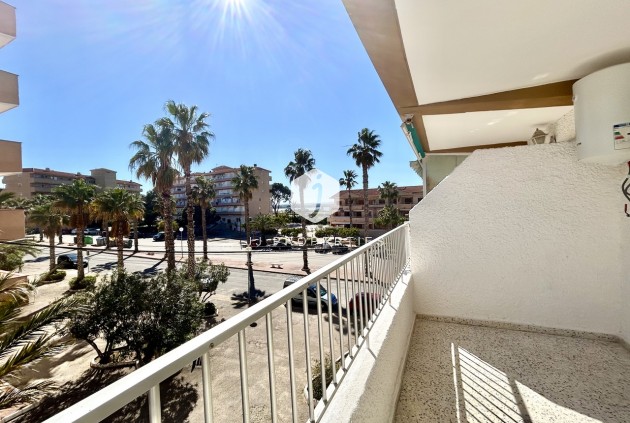 Mieszkanie w bloku - Z drugiej ręki - Guardamar del Segura -
                Costa Blanca