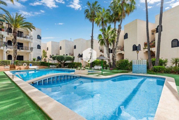 Mieszkanie w bloku - Z drugiej ręki - Torrevieja -
                Cabo cervera