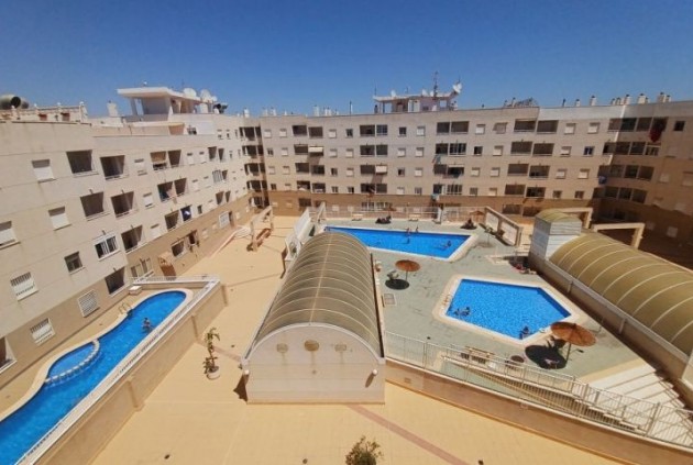 Mieszkanie w bloku - Z drugiej ręki - Torrevieja -
                Costa Blanca