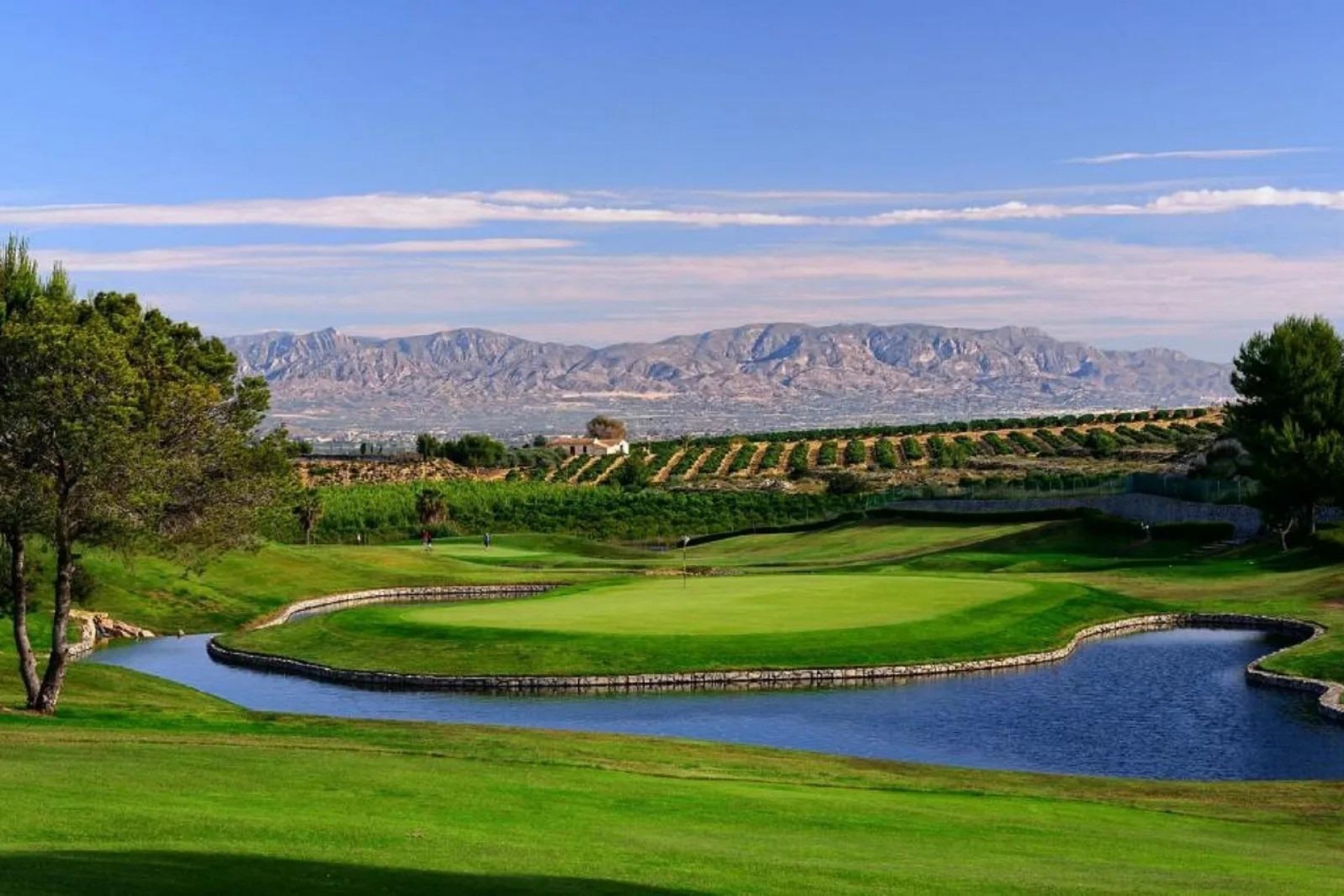 Neue Gebäude - Bungalow -
Algorfa - La finca golf