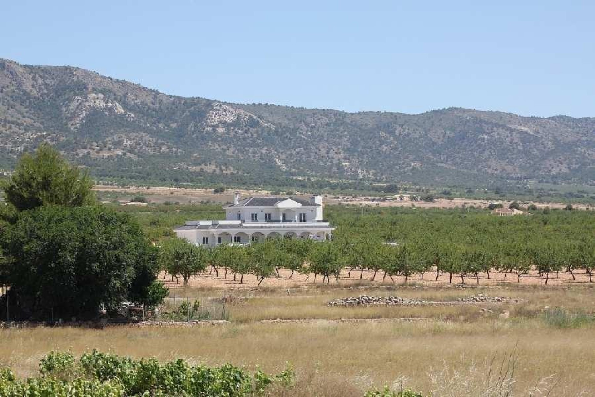 Neue Gebäude - Chalet -
Pinoso - Camino Del Prado