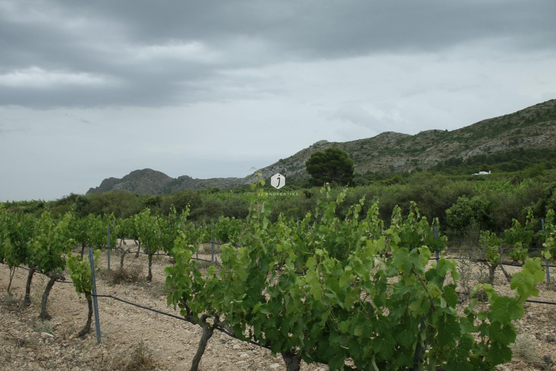 Neue Gebäude - Villa -
Yecla