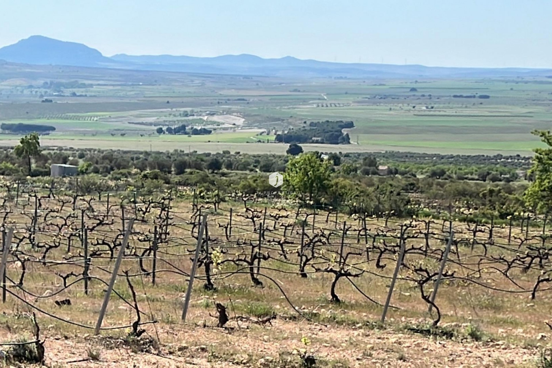 Neue Gebäude - Villa -
Yecla