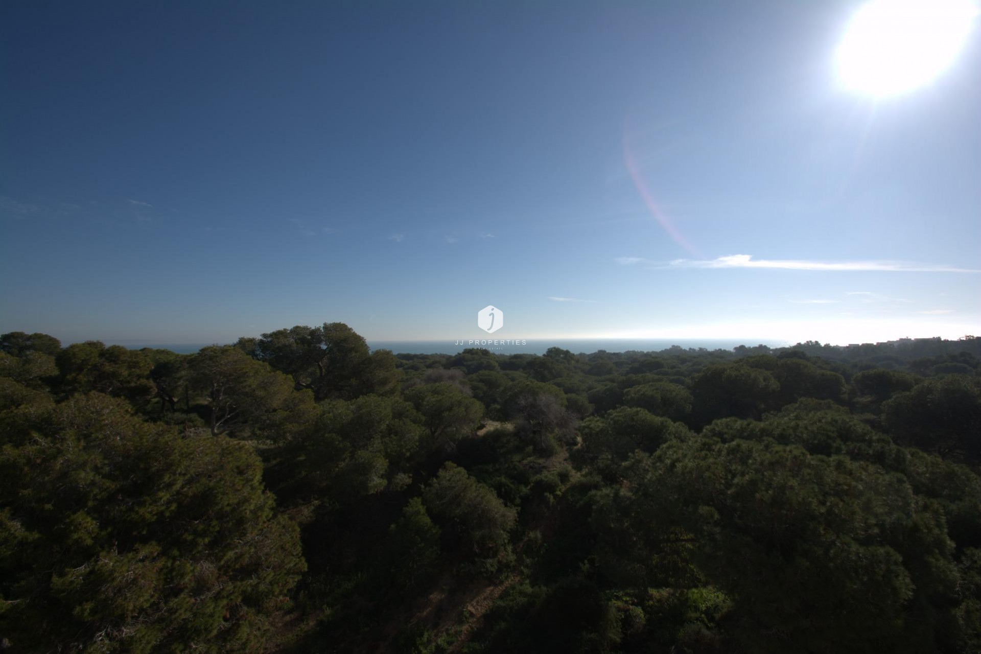 Nouvelle construction - Appartement -
Guardamar del Segura - Pueblo