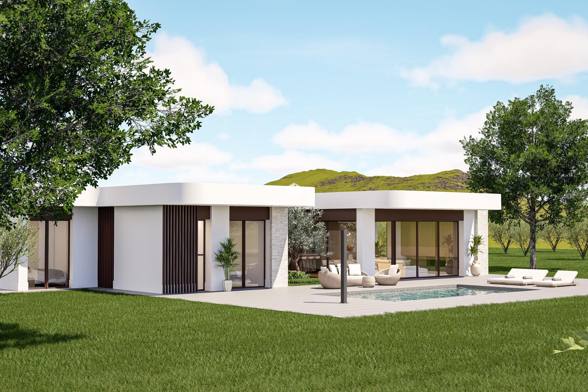 Nouvelle construction - Villa -
Pinoso - Lel