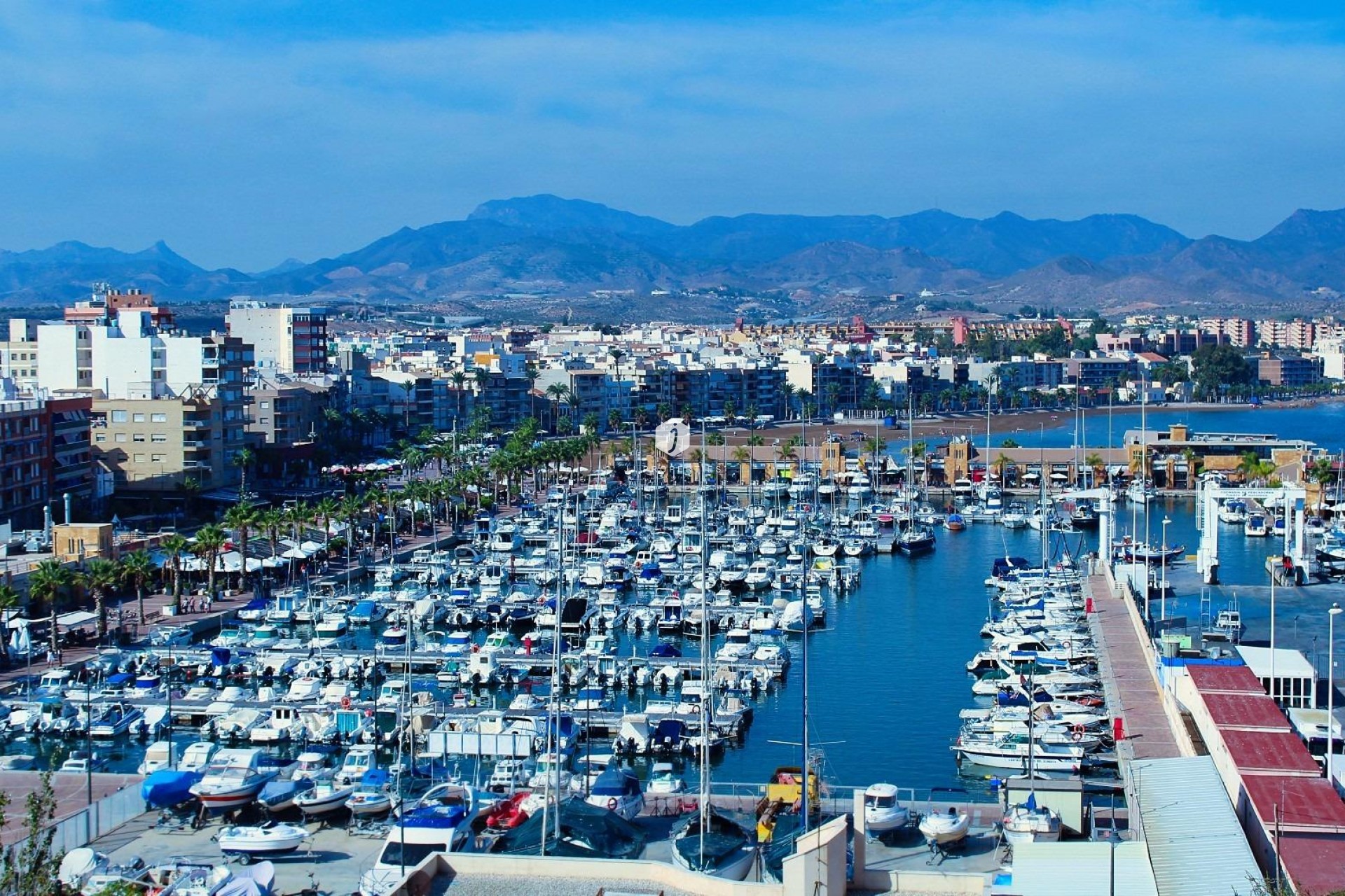 Nowy budynek - Bungalow -
Fuente Álamo - La Pinilla