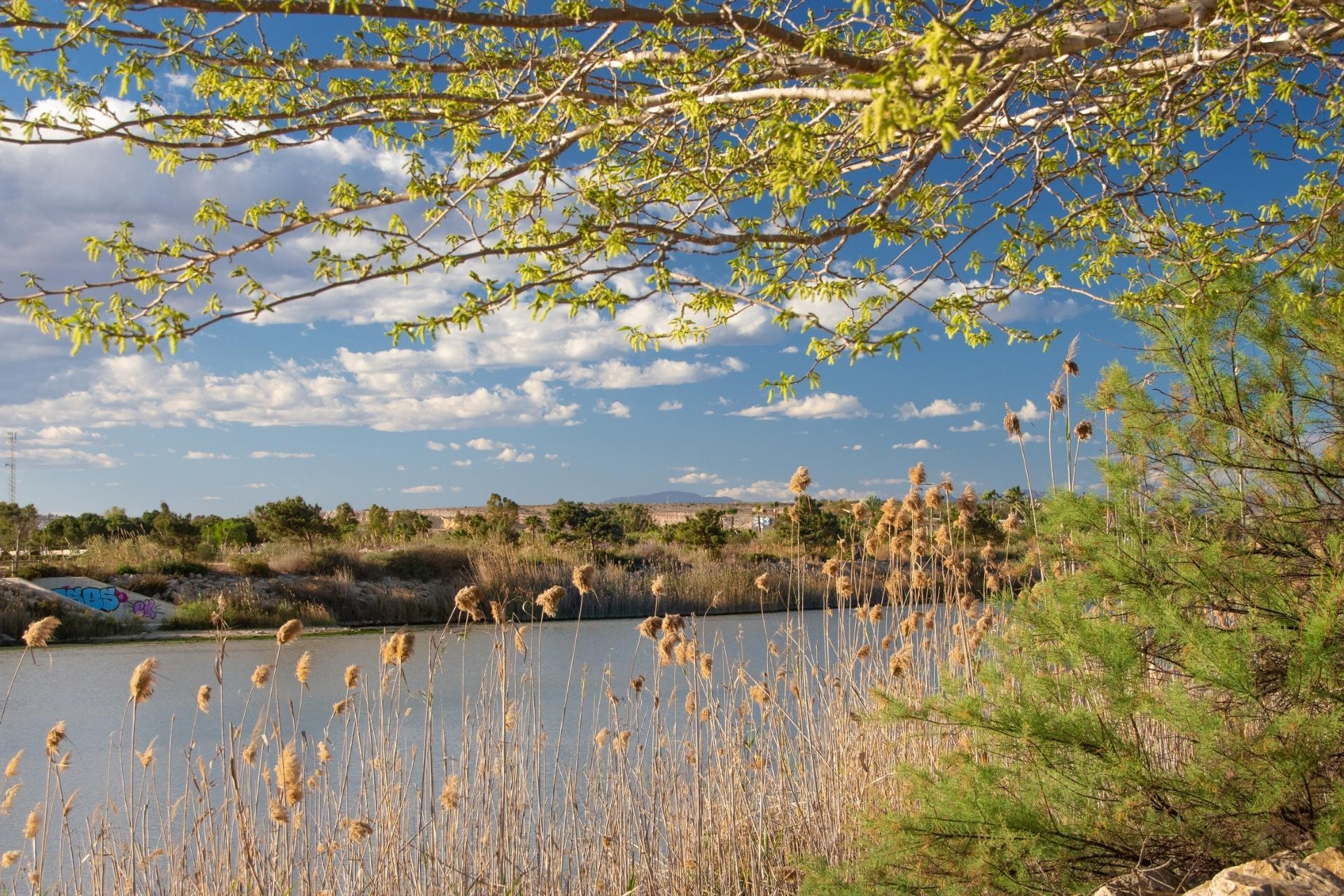 Nowy budynek - Bungalow -
Guardamar del Segura - Guardamar Del Segura