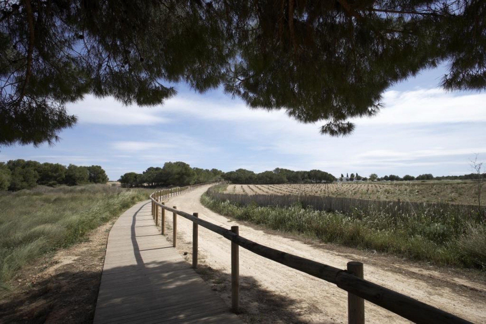 Nowy budynek - Bungalow -
Torrevieja - aguas nuevas