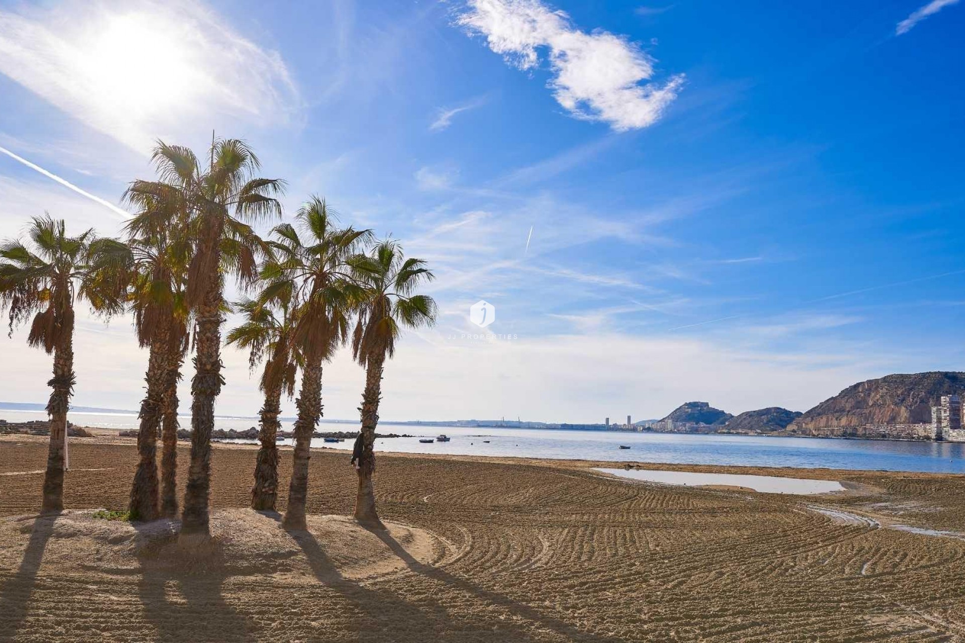 Nowy budynek - Szalet -
Els Poblets - Partida Barranquets