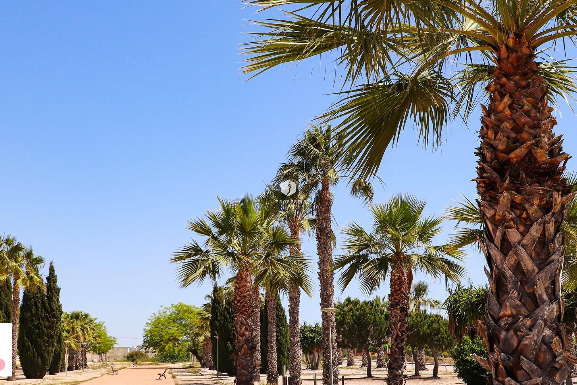 Nowy budynek - Villa -
San Fulgencio - La Escuera