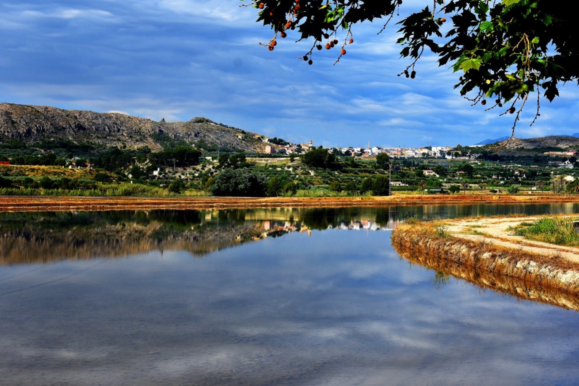 Obra nueva - Chalet -
Calasparra - Coto Riñales