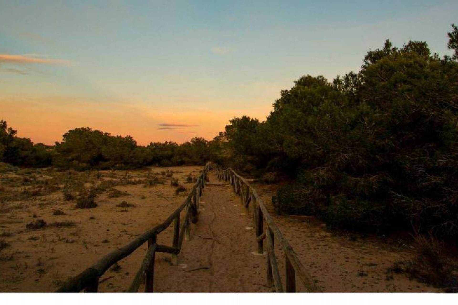 Obra nueva - Chalet -
La Marina - La Marina / El Pinet