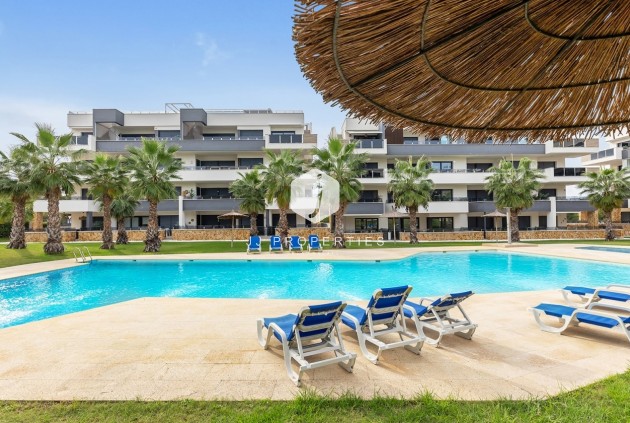 Penthouse - Aus zweiter Hand - Los Altos -
                AMANECER