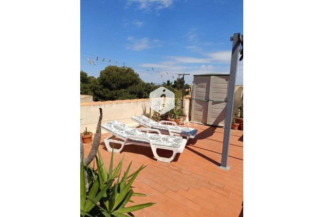 Penthouse - Aus zweiter Hand - Torrevieja -
                Auguas Neuvas