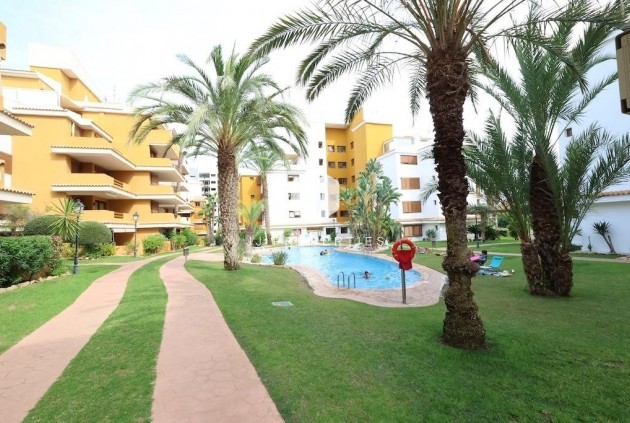 Penthouse - Resale - Torrevieja -
                Costa Blanca