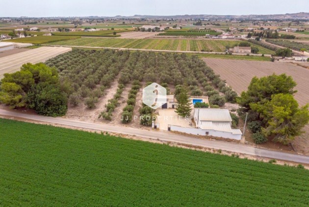 Propriété rurale - D'occasion - Dolores -
                Costa Blanca