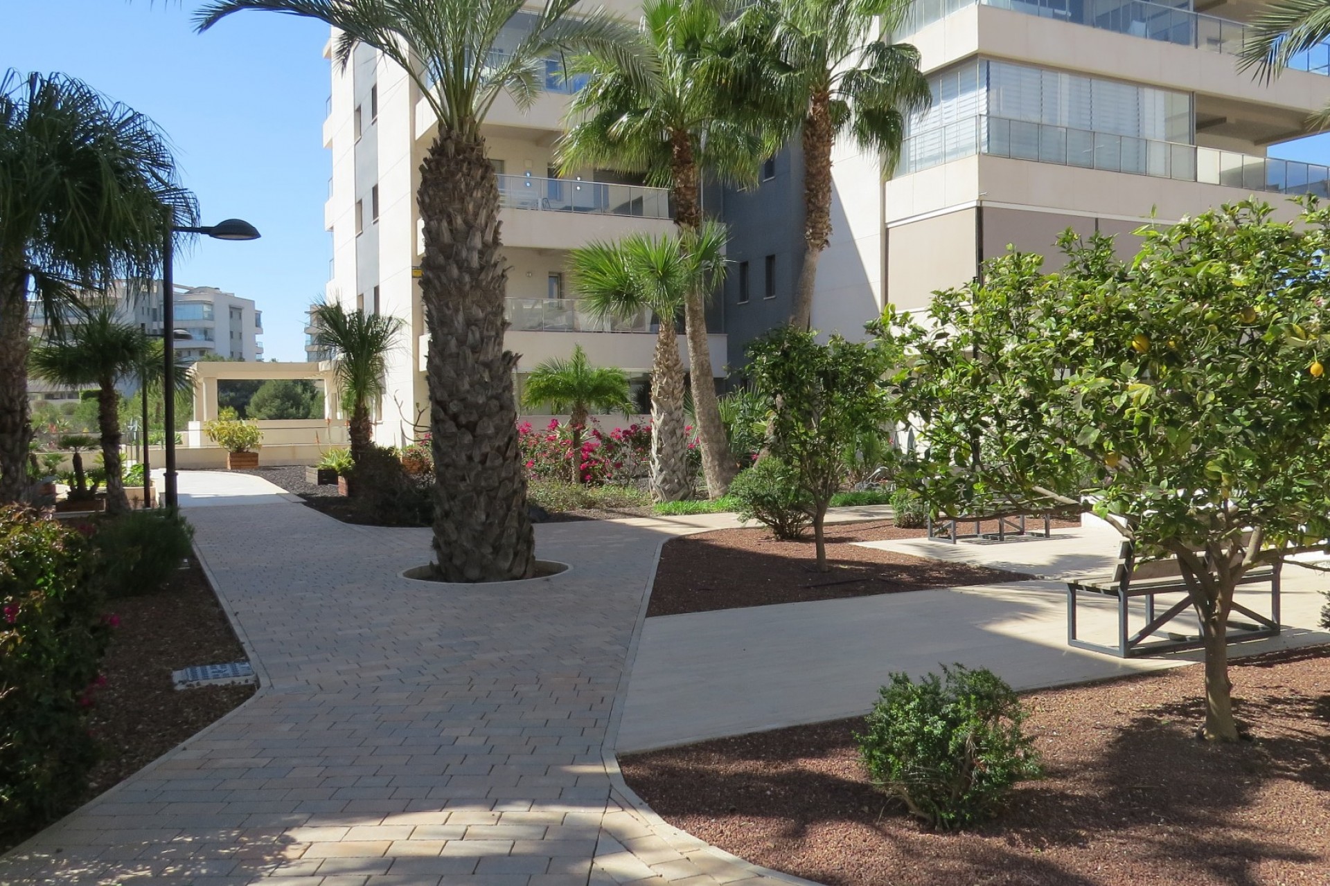 Resale - Apartment / flat -
Orihuela Costa - Costa Blanca