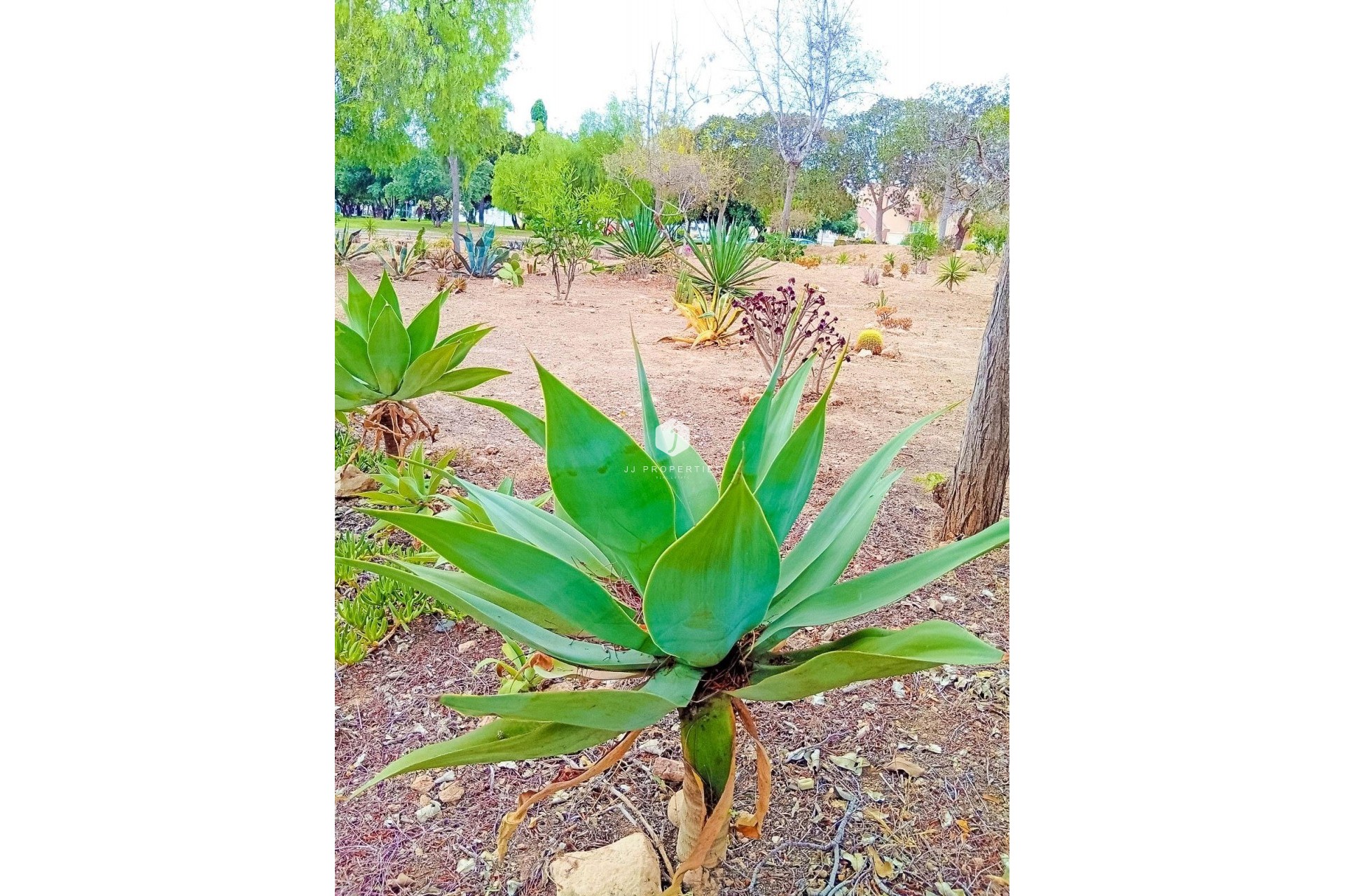 Resale - Apartment / flat -
Orihuela Costa - La Florida