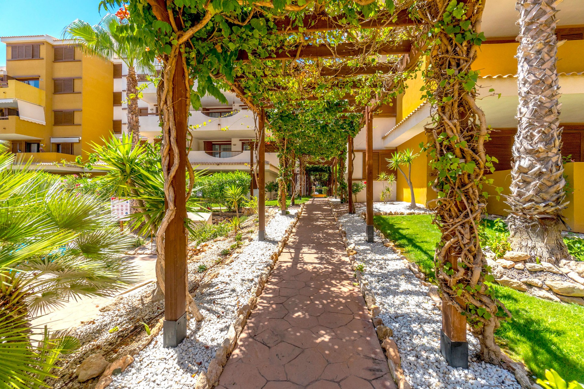 Resale - Apartment / flat -
Punta Prima - Costa Blanca