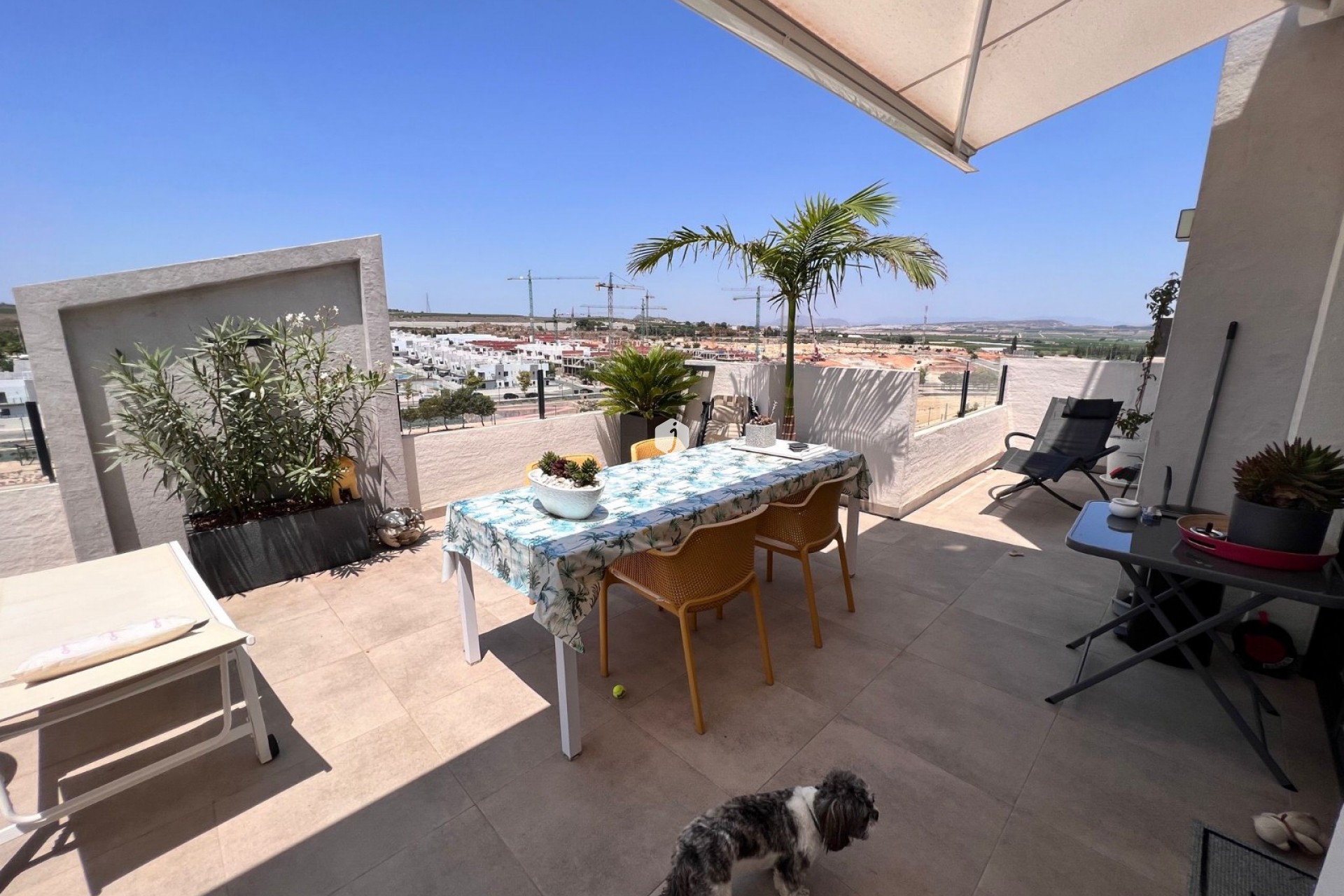 Resale - Apartment / flat -
San Miguel de Salinas - Inland