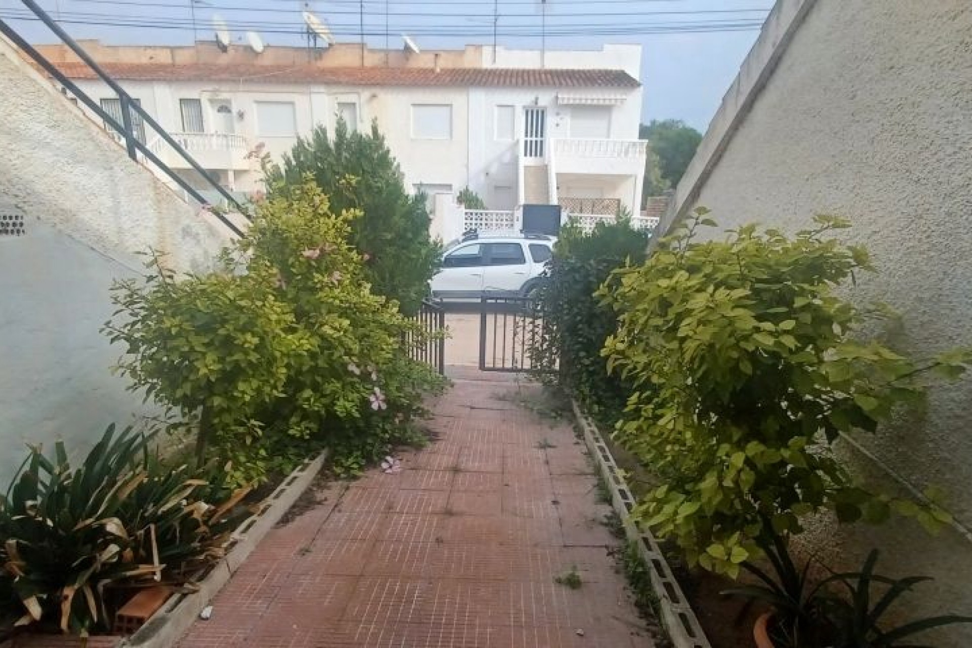 Resale - Bungalow -
Torrevieja - Costa Blanca