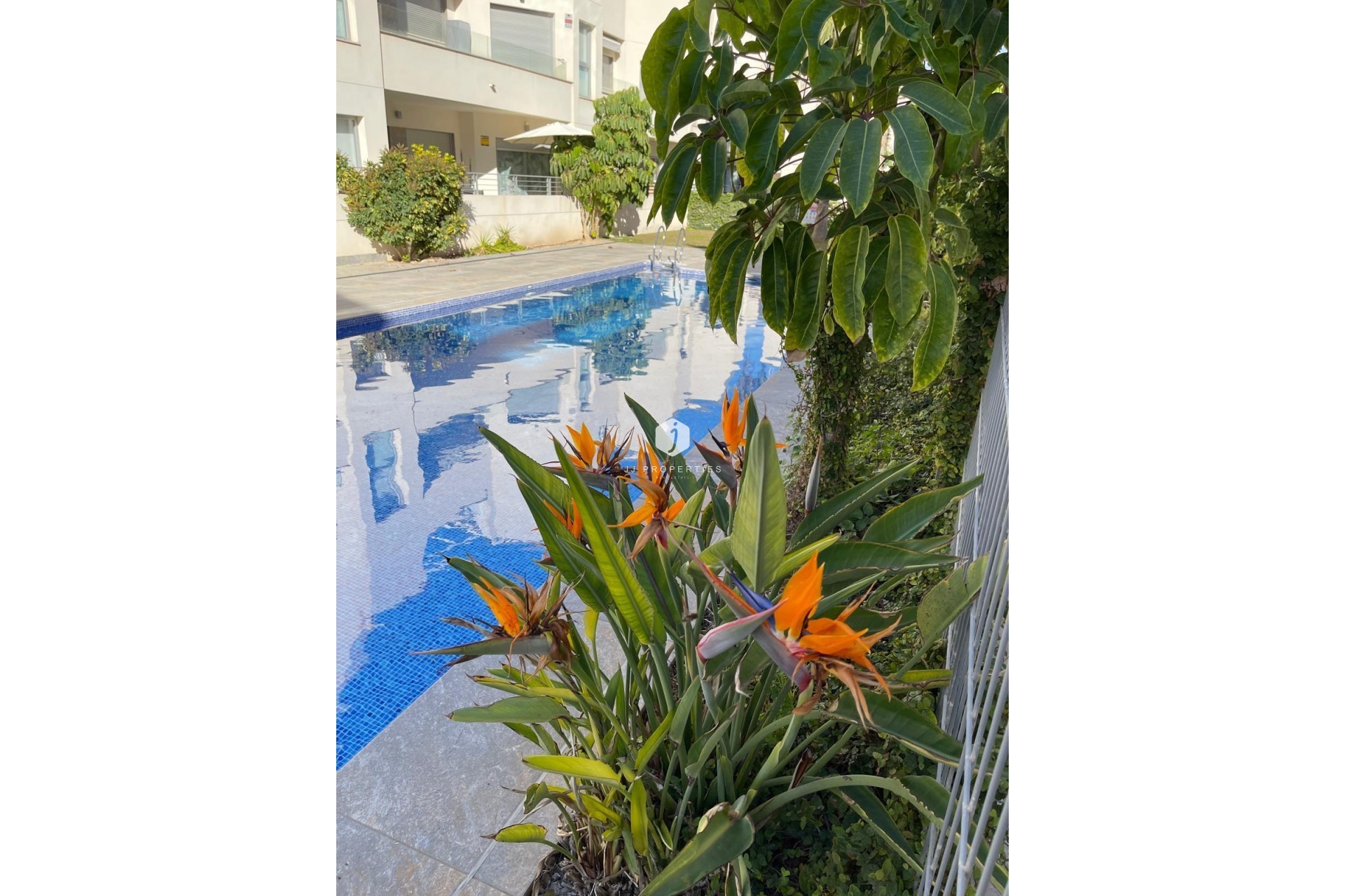 Resale - Bungalow -
Torrevieja - Costa Blanca