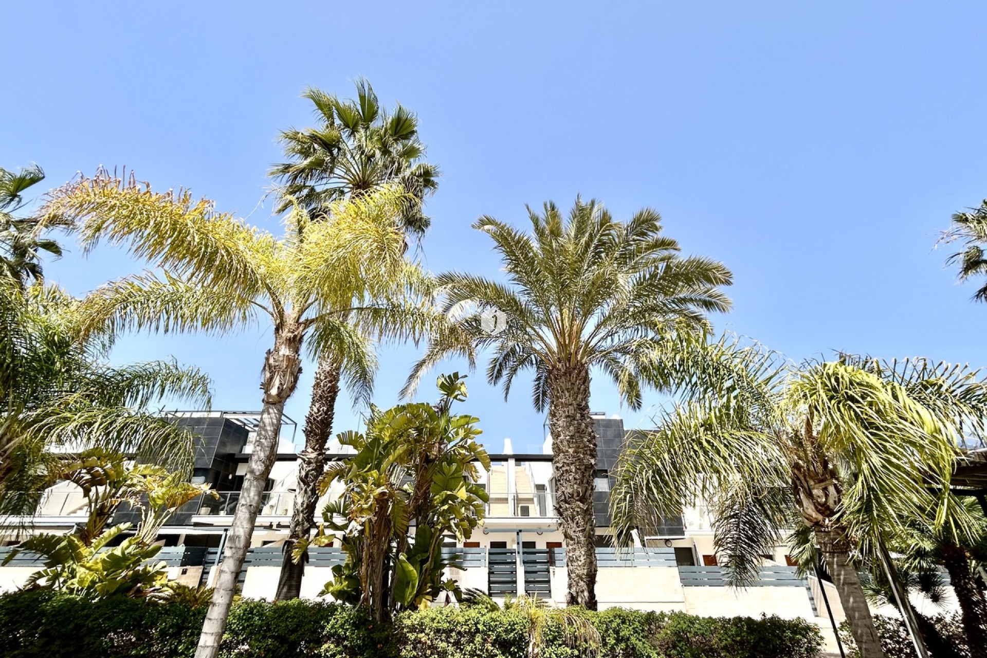 Resale - Chalet -
Los Dolses - Inland