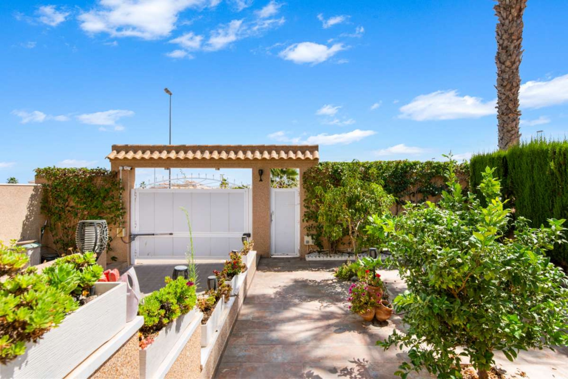 Resale - Chalet -
Punta Prima - Costa Blanca