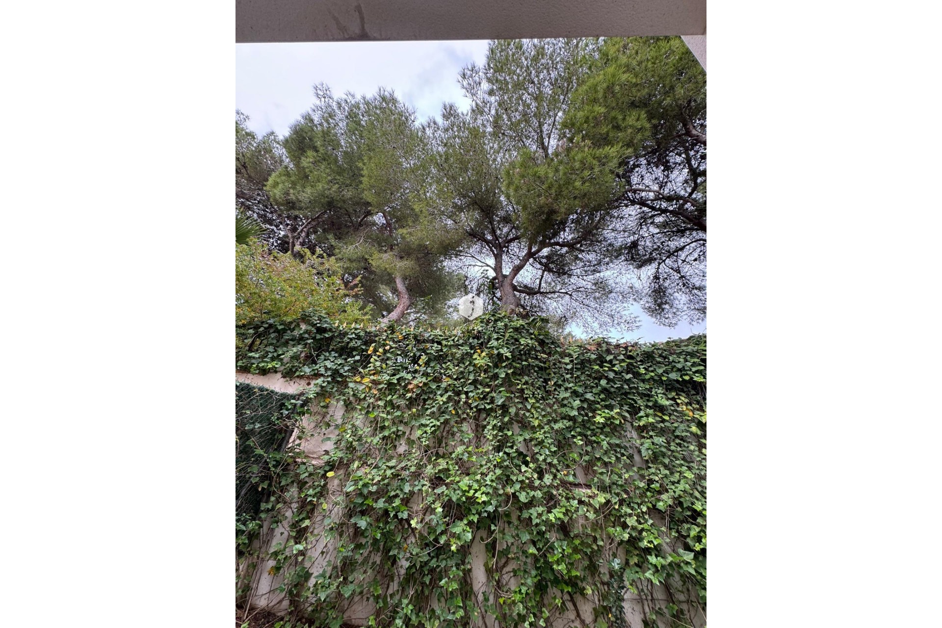 Resale - Chalet -
Torrevieja - Punta prima