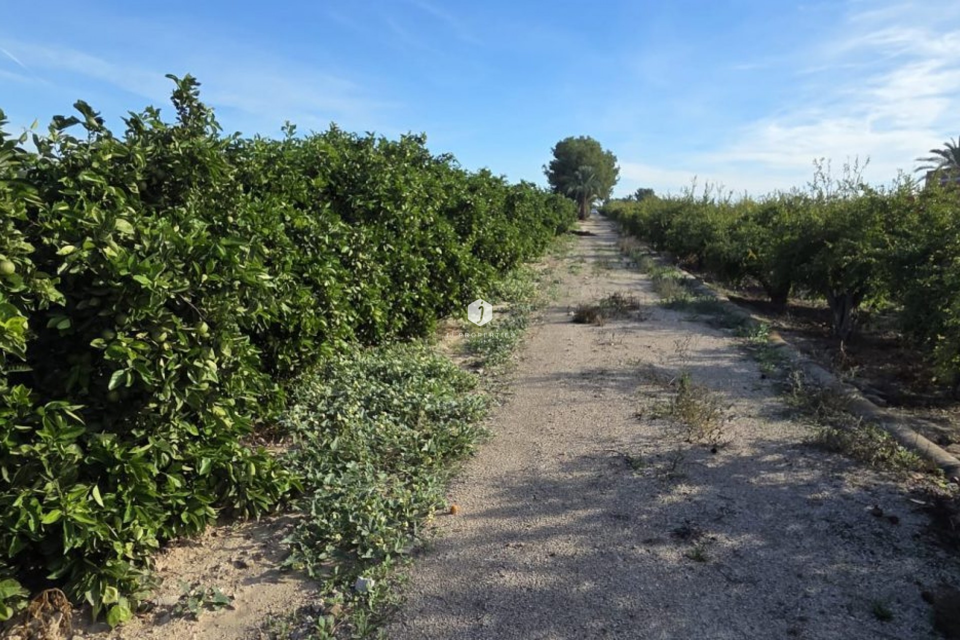 Resale - Country Property -
Albatera - Inland