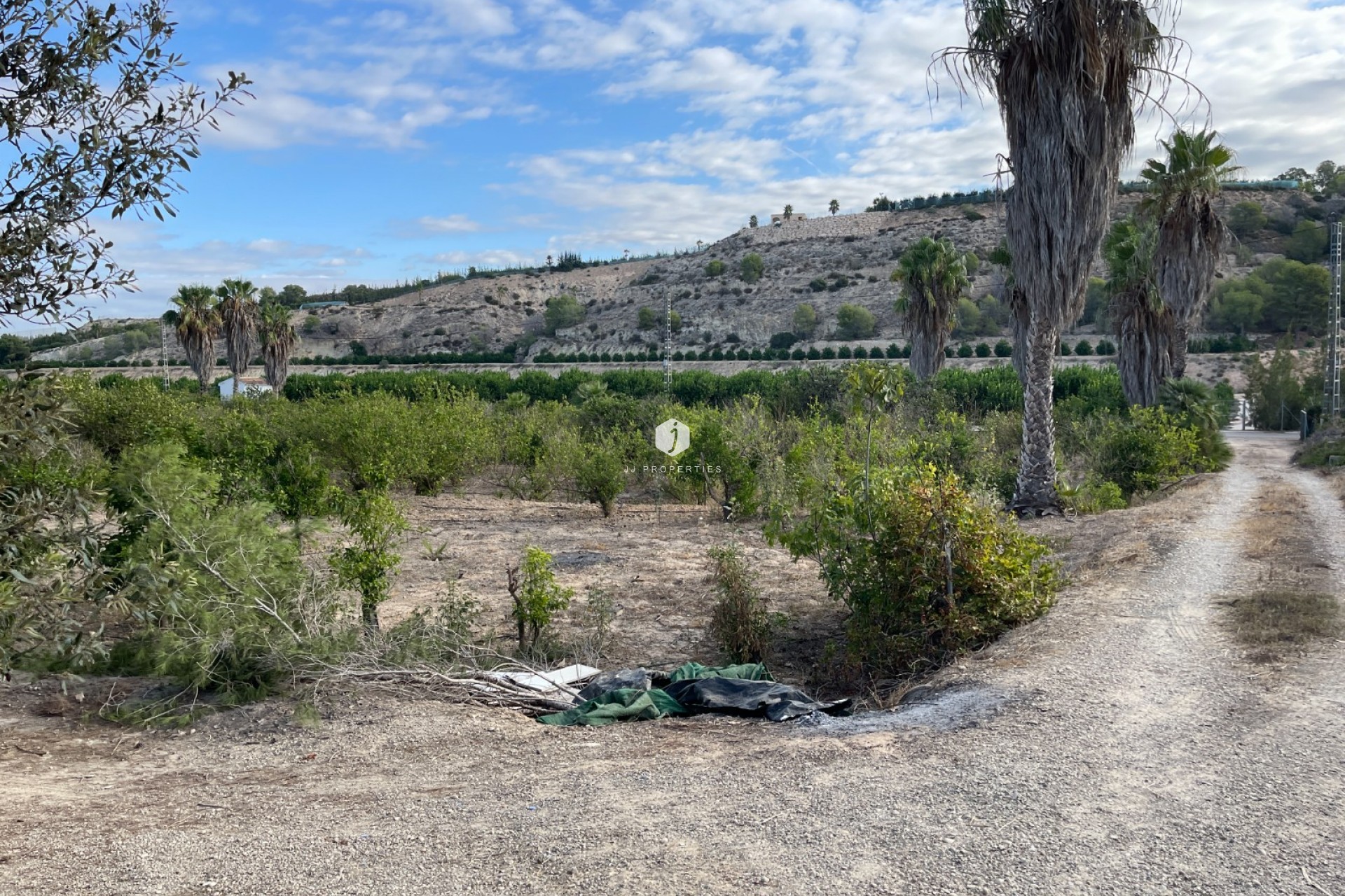 Resale - Country Property -
Jacarilla - Inland