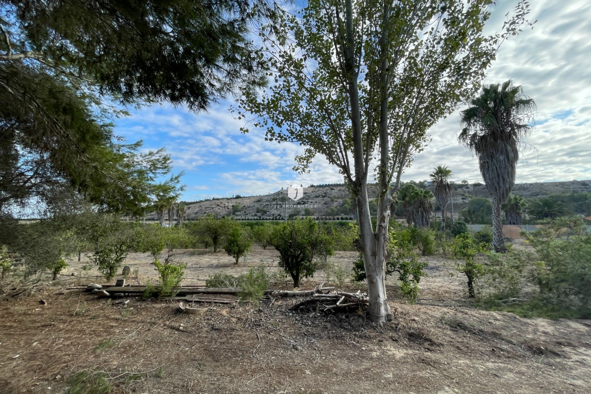 Resale - Country Property -
Jacarilla - Inland