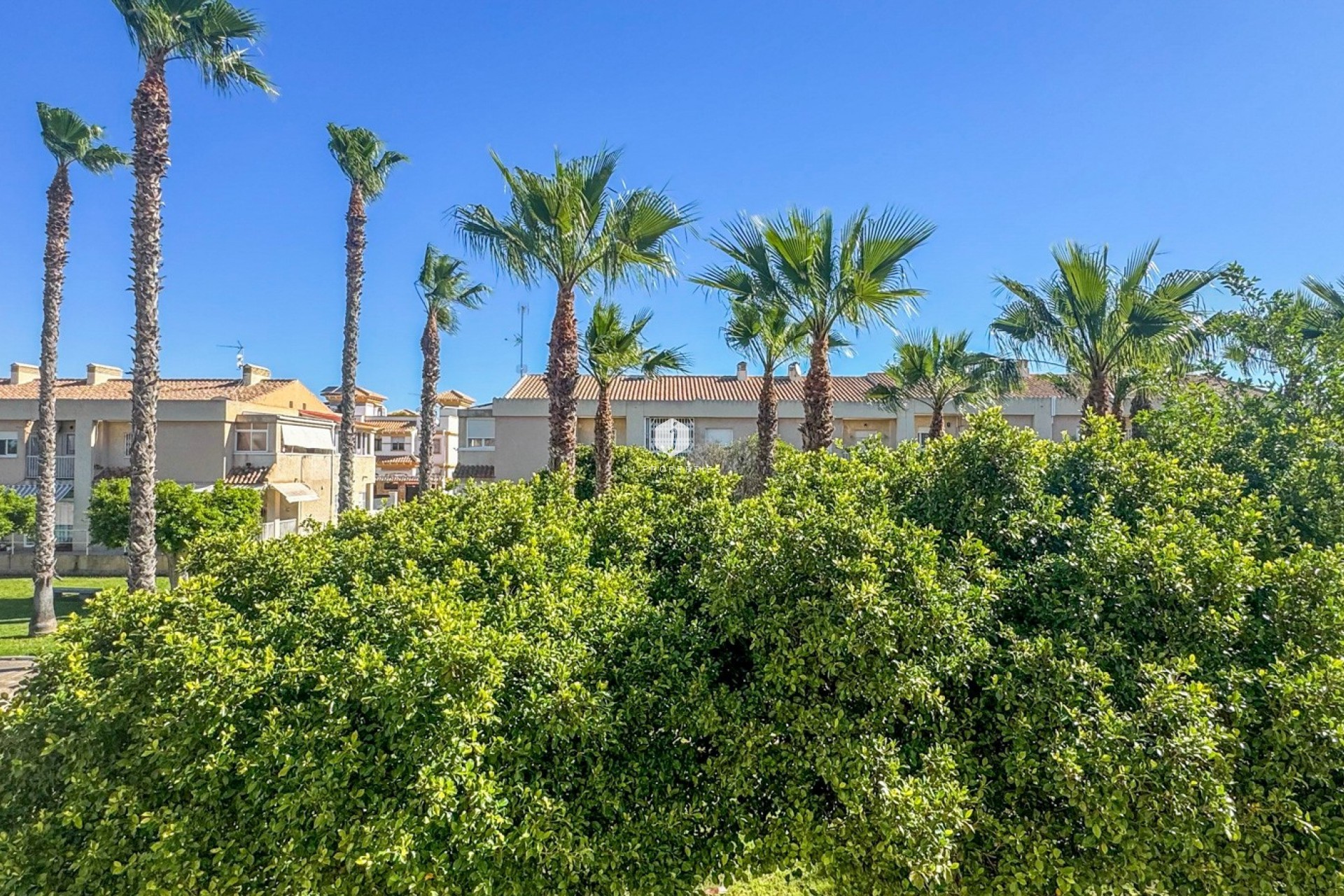 Resale - Duplex -
Torrevieja - Costa Blanca