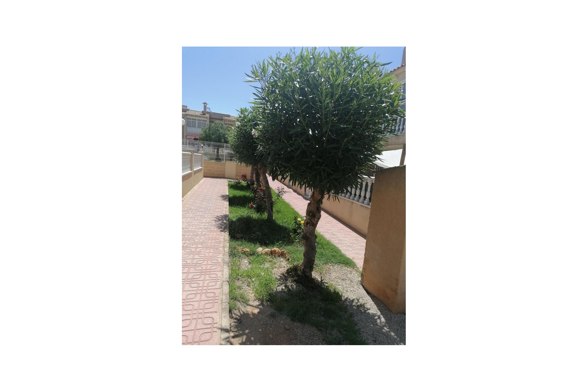 Resale - Penthouse -
Torrevieja - aguas nuevas