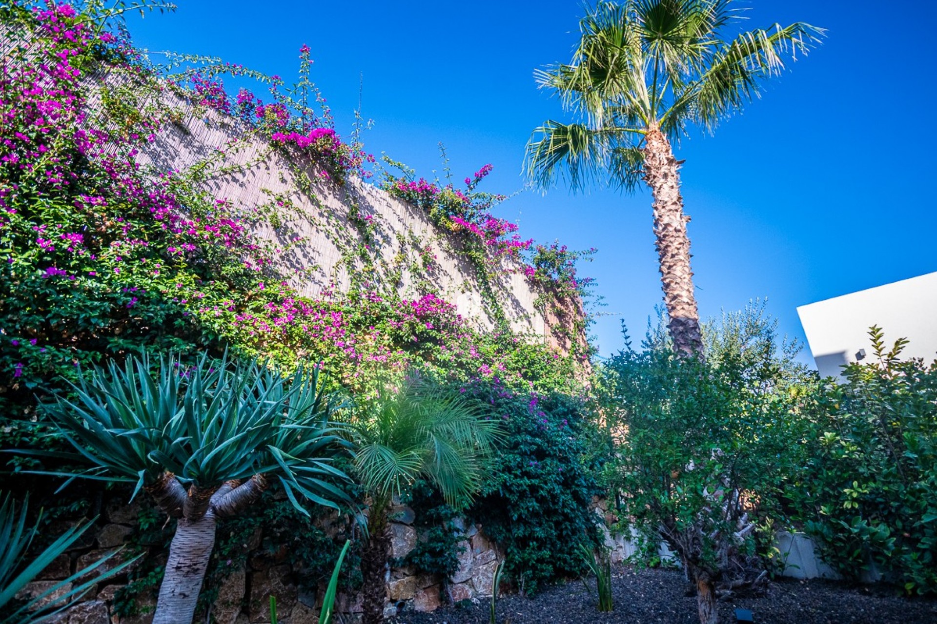 Resale - Villa -
Algorfa - Inland