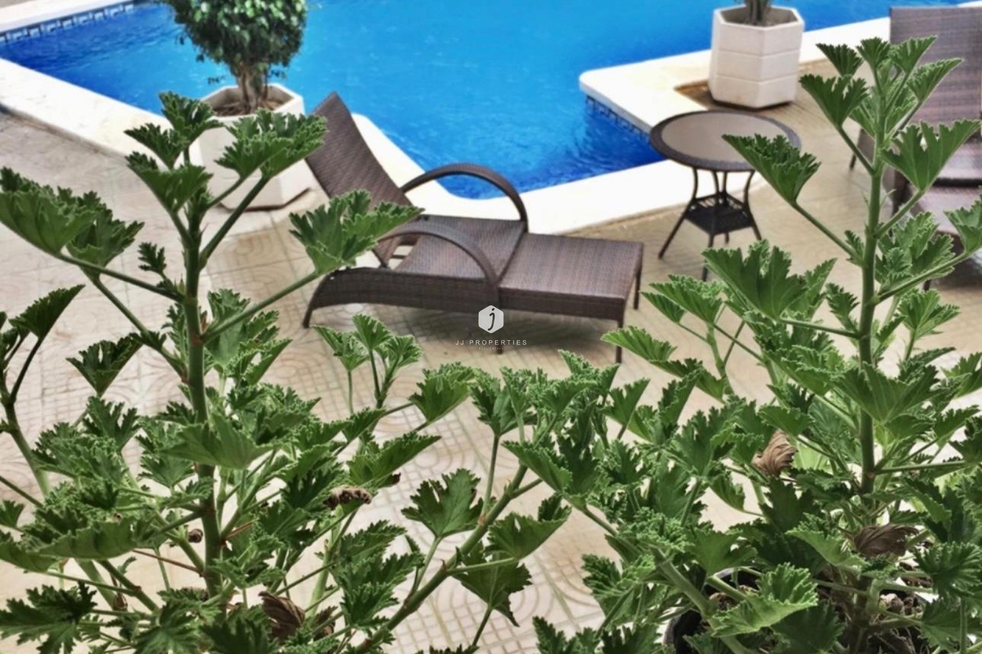 Resale - Villa -
Ciudad Quesada - Ciudad Quesada - Doña Pepa