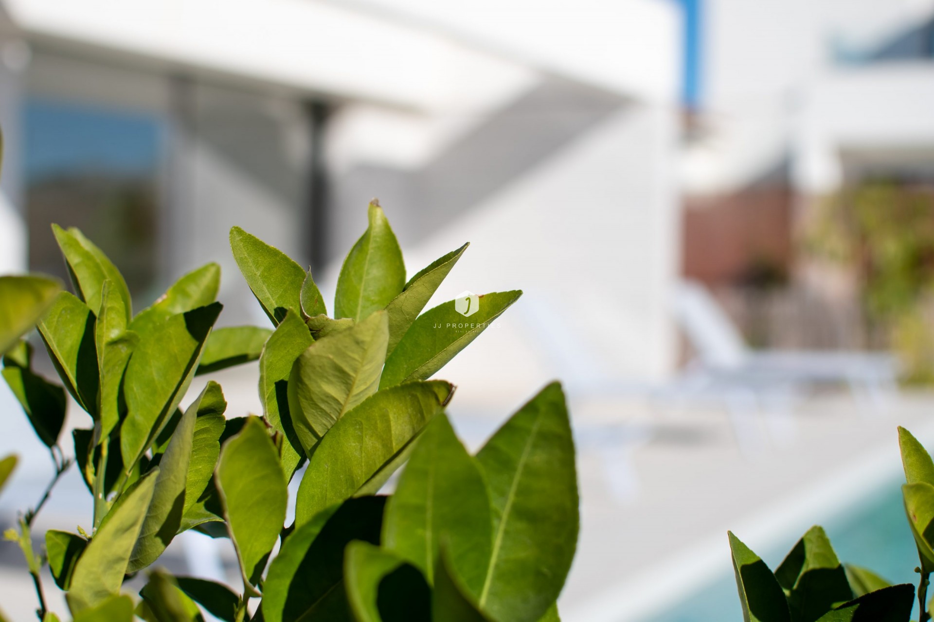 Resale - Villa -
Los Montesinos - Costa Blanca