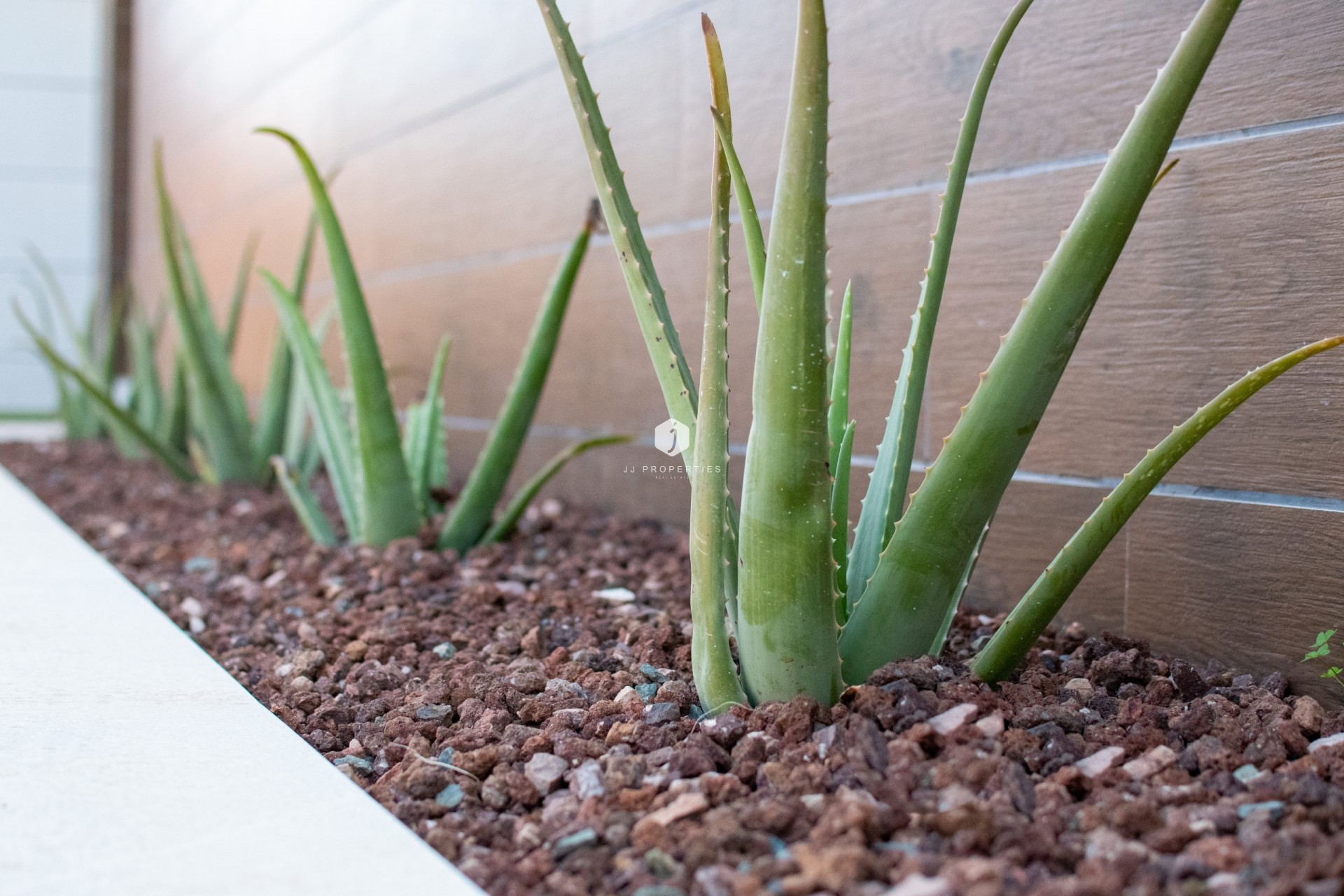 Resale - Villa -
Los Montesinos - Costa Blanca