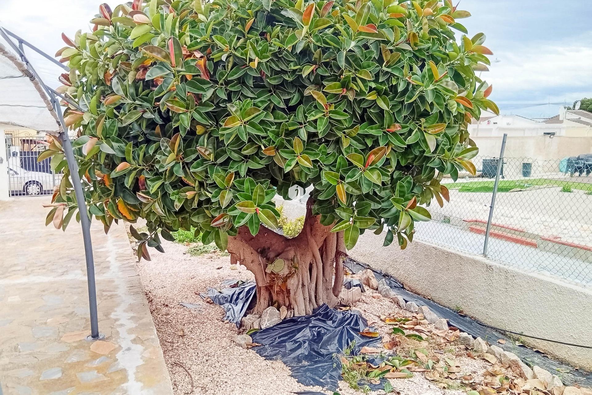 Resale - Villa -
Torrevieja - La siesta