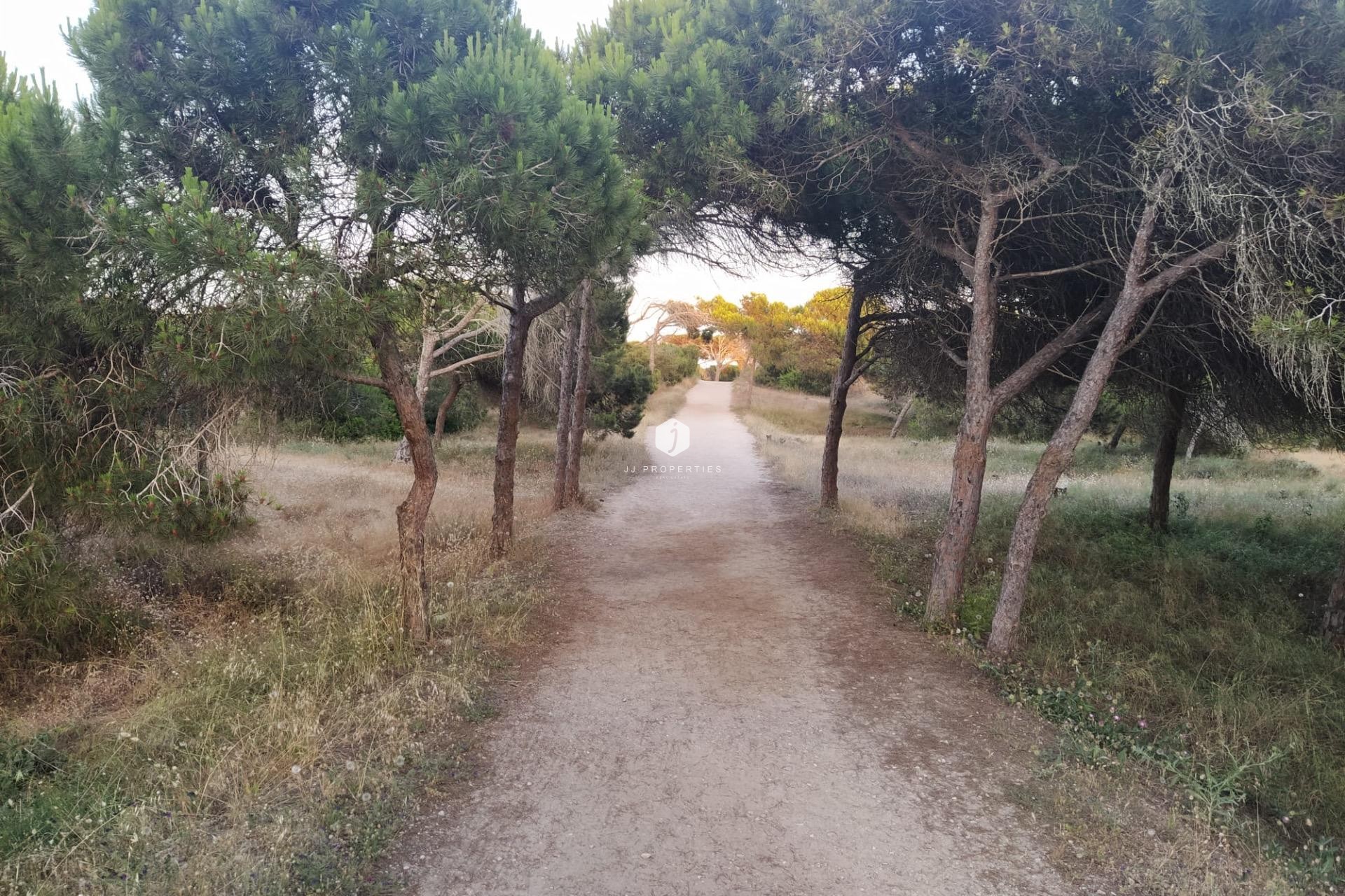 Segunda mano - Apartamento / piso -
Guardamar del Segura - Pinomar