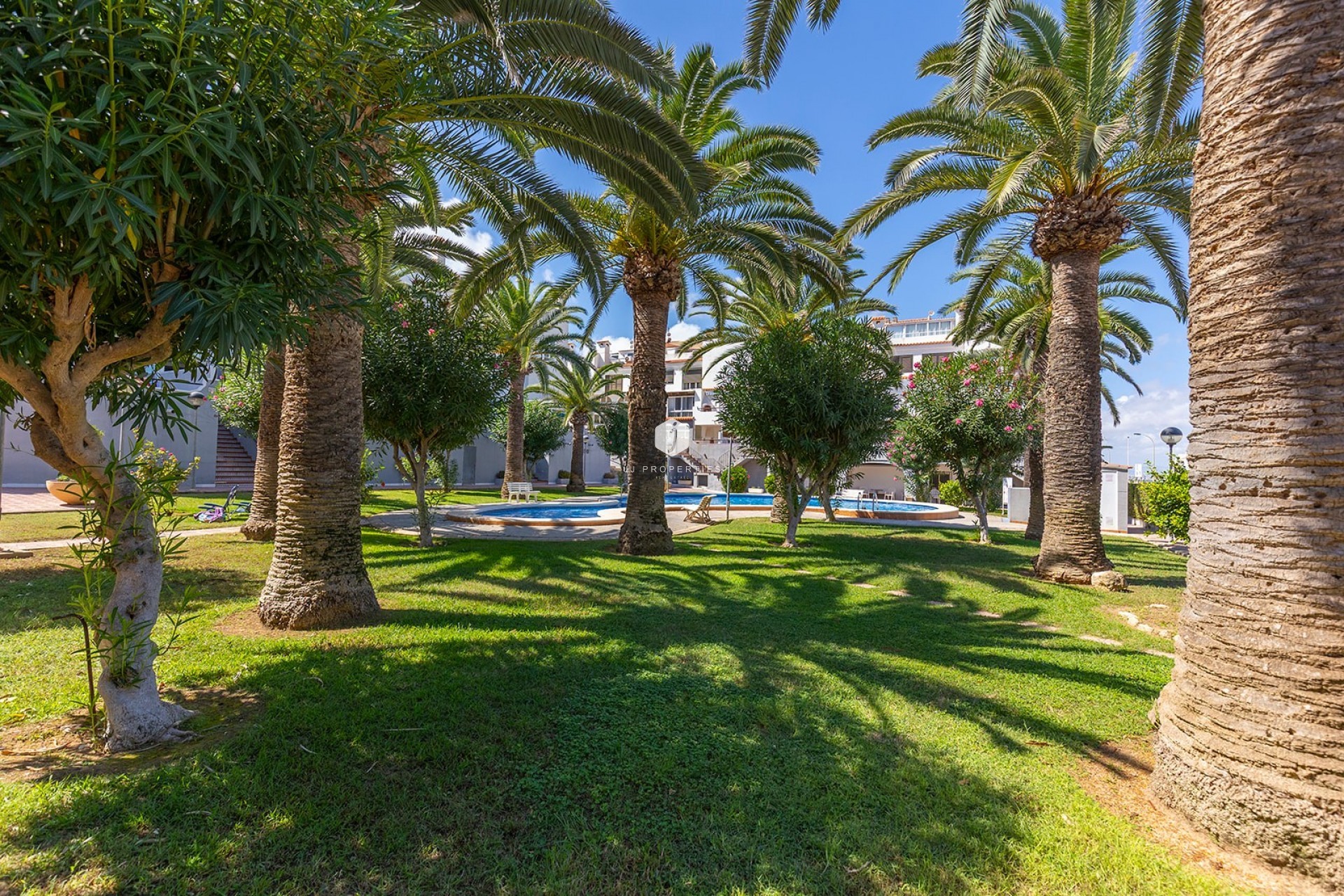 Segunda mano - Apartamento / piso -
La Mata - Costa Blanca