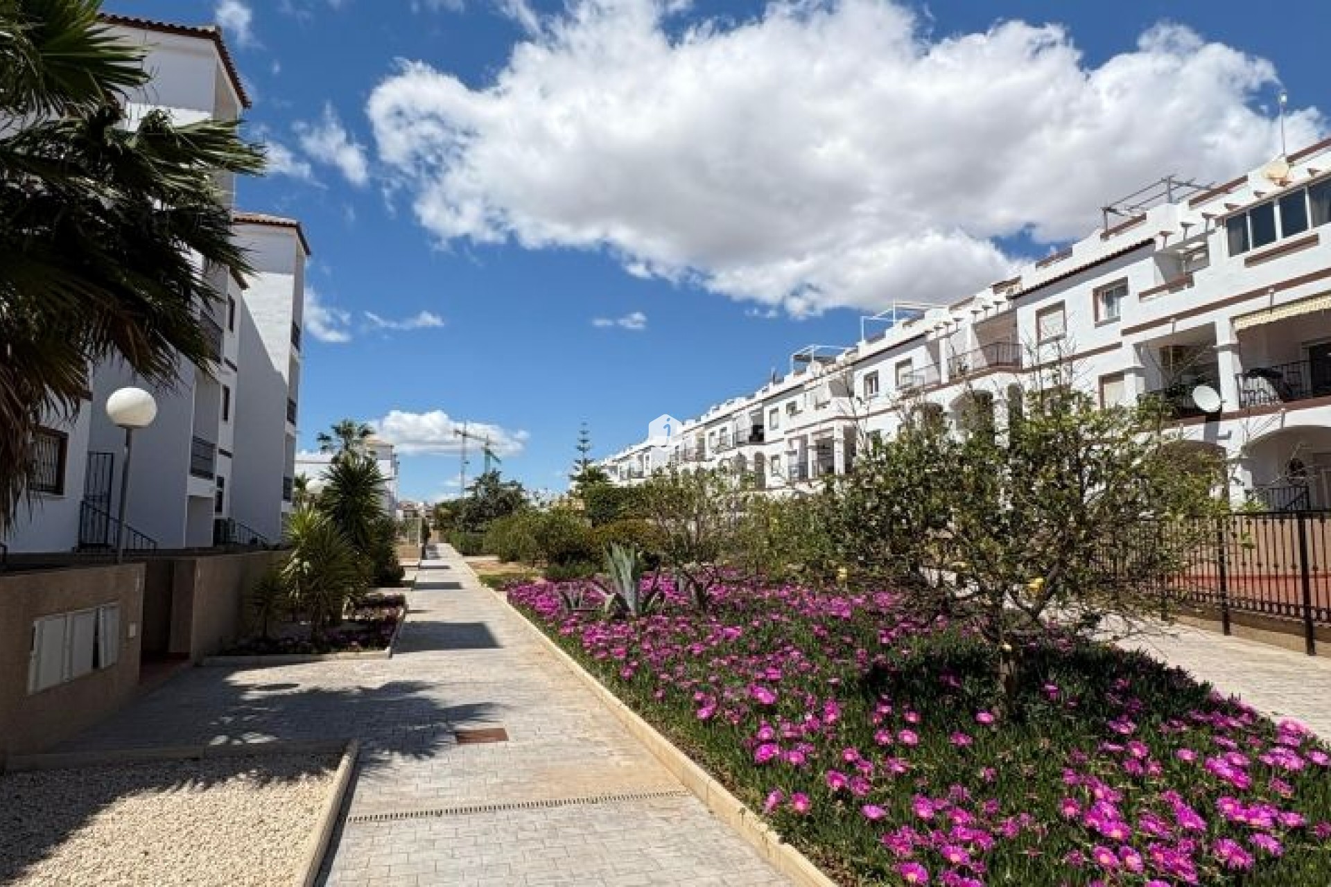 Segunda mano - Apartamento / piso -
Orihuela Costa - Costa Blanca