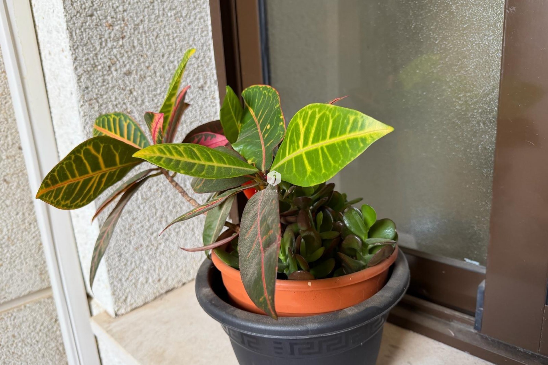 Segunda mano - Apartamento / piso -
Orihuela Costa - Las Ramblas