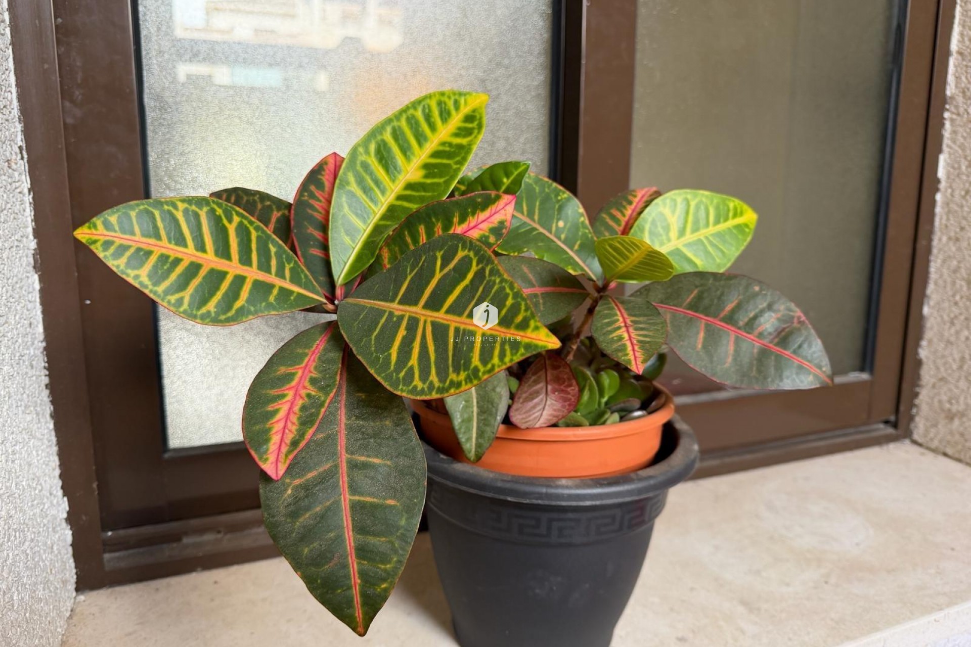 Segunda mano - Apartamento / piso -
Orihuela Costa - Las Ramblas